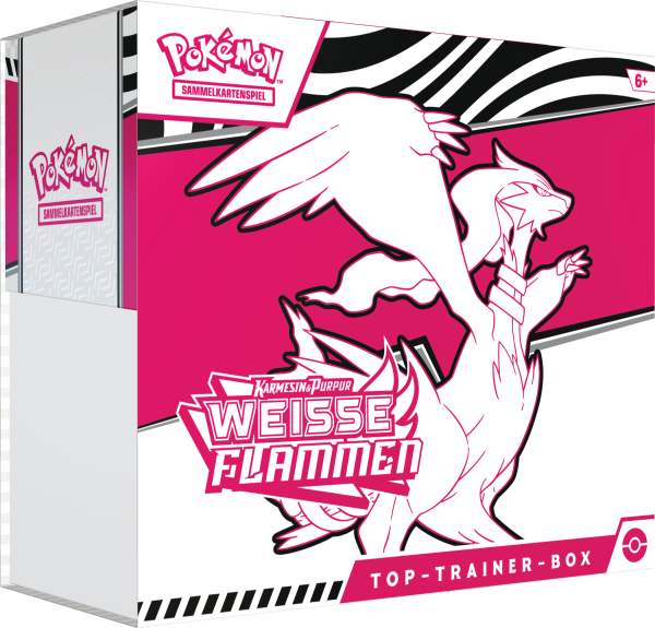 PKM KP10.5 Top Trainer Box Weiße Flammen
